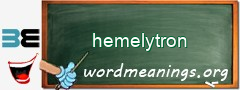 WordMeaning blackboard for hemelytron